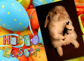 Happy Easter; it’s cold out Happy Easter; it's cold out