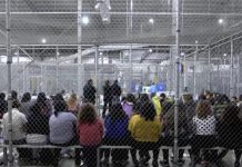 Sen. Graham working with bipartisan lawmakers on immigration (Details)