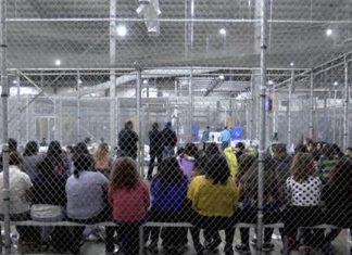 Sen. Graham working with bipartisan lawmakers on immigration (Details)