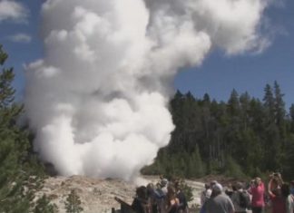 Scientists want to know why Yellowstone's Steamboat Geyser keeps erupting (Details)