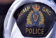 Report: Girl, 9, seriously injured by dog bites on Sask. First Nation