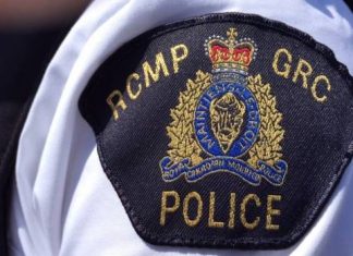 Report: Girl, 9, seriously injured by dog bites on Sask. First Nation