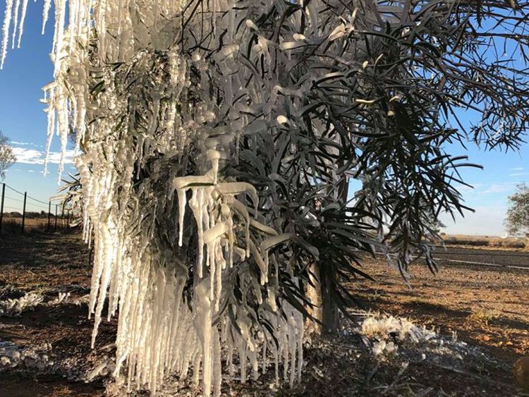 Maree Hayes took these incredible pictures in Alice Springs in Australia&#39;s Northern Territory 