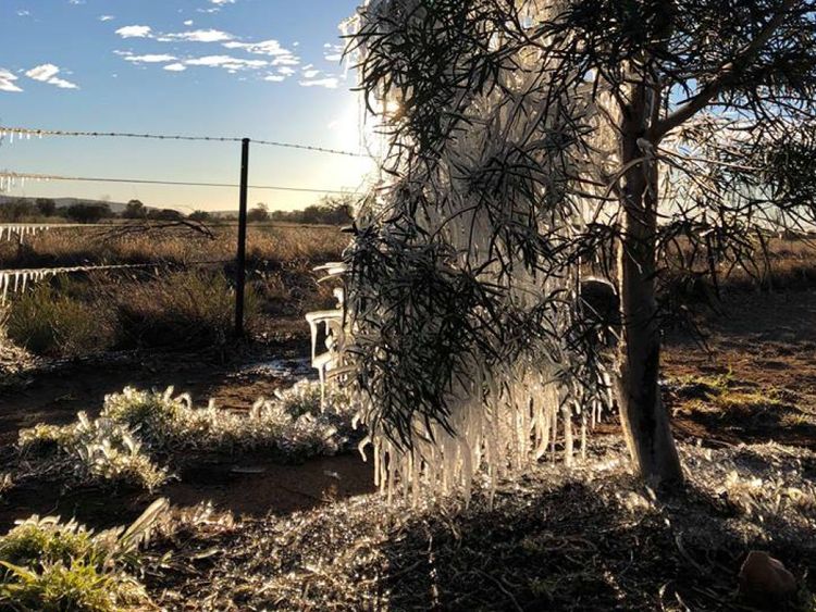 Maree Hayes took these incredible pictures in Alice Springs in Australia&#39;s Northern Territory 