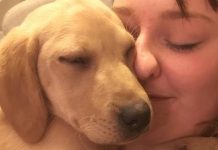 Dog saved by student gets crowdfunded op (Details)