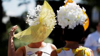 Ascot hats