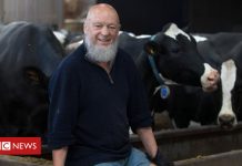 Glastonbury boss Eavis quits Somerset Wildlife Trust (Details)