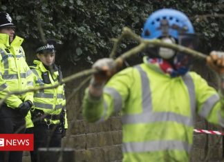 Sheffield council wants longer injunction against tree protesters (Details)