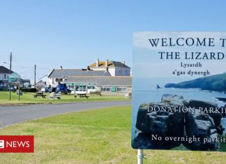 Villagers in The Lizard village green during festival (Details)
