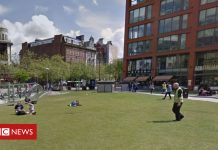 Piccadilly Gardens sex couple sought by police (Details)