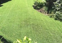 Edmonton: Artificial turf lawn growing more popular, Edmonton landscaper says
