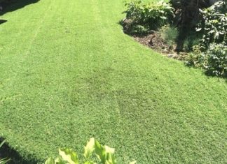 Edmonton: Artificial turf lawn growing more popular, Edmonton landscaper says
