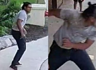 Report: Brampton man turns himself in after violent attack on woman caught on video