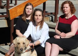 Report: Road safety advocates want next city council to ‘step up,’ boost cycling network and traffic calming measures