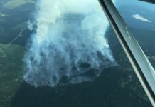 Report: Lightning sparks up to 60 new wildfires amid B.C. heatwave