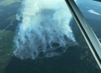 Report: Lightning sparks up to 60 new wildfires amid B.C. heatwave