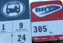 Report: Calgary Transit wants $26M to add electric buses to their fleet