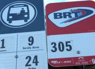 Report: Calgary Transit wants $26M to add electric buses to their fleet