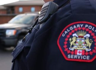 Report: Calgary man faces 6 charges for graffiti tagging