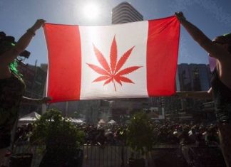 Report: Senate passes pot bill, paving way for legal weed in 8 to 12 weeks