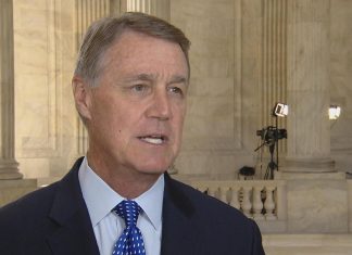 GOP senator calls child separation “current shiny object of the day” (Details)