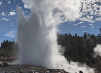 Yellowstone’s Steamboat Geyser keeps erupting, and scientists want to know why (Details)