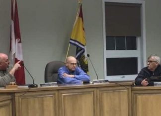 Report: Truant Dalhousie councillor loses seat for good in unanimous council vote