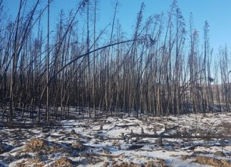 Report: Wildfire report to help Cariboo prepare for next emergency