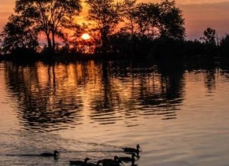 Report: Windsor’s weather, traffic and gas prices for Tuesday