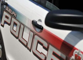 Report: Guelph police identify body found in Speed River as 64-year-old man