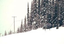 Report: Sun Peaks rescue society auctions off historic sign to raise funds for training, education