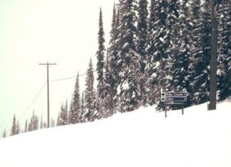 Report: Sun Peaks rescue society auctions off historic sign to raise funds for training, education