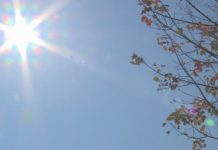 Report: Sunny Thursday: DayStarter weather
