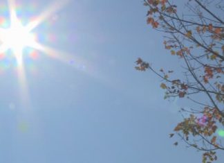 Report: Sunny Thursday: DayStarter weather