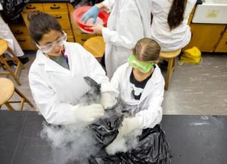 Report: University of Waterloo invites Indigenous girls to explore tech careers