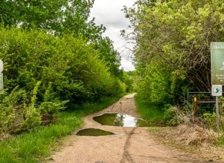 Edmonton: Alberta day trips: Walk on the Iron Horse Trail and see ‘The Land of Big’