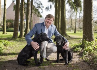 King Willem-Alexander opens new railway line – (Details)