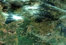 Report: Time to act on algae is now, says organization calling for Lake of the Woods phosphorus reduction