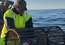 Report: Fishermen versus North Atlantic right whales: Which group gets priority?