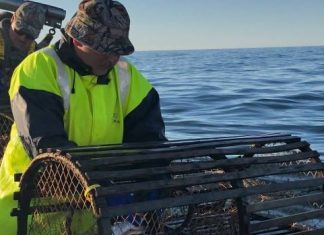 Report: Fishermen versus North Atlantic right whales: Which group gets priority?