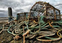 Report: DFO orders ‘hard pill to swallow’ for N.B. lobster fishermen, union says