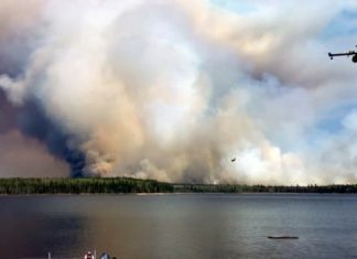 Report: Winnipeg MP calls for better emergency management co-ordination when wildfires strike First Nations