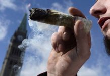 Report: Canadians can’t light up yet, justice minister warns after ‘historic’ bill to legalize pot passes