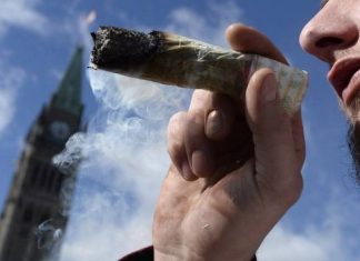 Report: Canadians can’t light up yet, justice minister warns after ‘historic’ bill to legalize pot passes