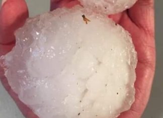Report: Nasty hail storm in southern Manitoba may cost MPI as much as $20 million