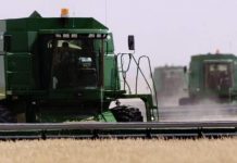 Report: South Korea suspends wheat and flour sales from Canada over GMO plants found in Alberta