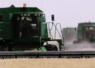 Report: South Korea suspends wheat and flour sales from Canada over GMO plants found in Alberta