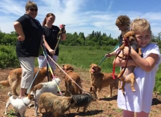 Report: ‘Even cat people are happy’ about first dog park in East Hants