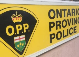 Edmonton: 5 people, including 3 kids hit by lightning near Tillsonburg, Ont.