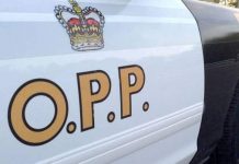 Report: Police ID body found near Killarney Provincial Park